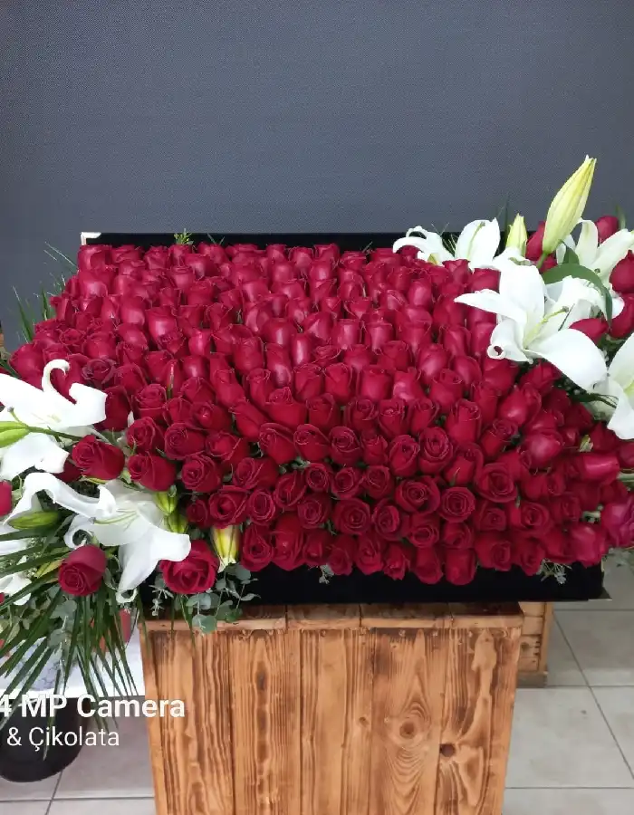 Özel Kutu Kırmızı Güller ve Kazablanka Aranjman