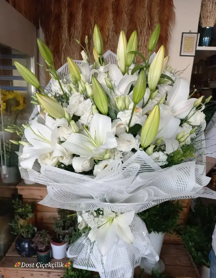 Kazablanka, Lisyantus Buketi