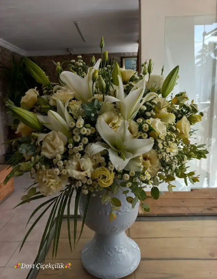 Kazablanka, Lisyantus, Aster Aranjman