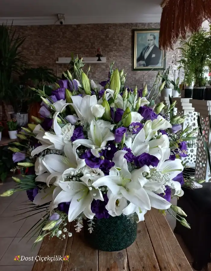 Kazablanka, Lisyantus Aranjman