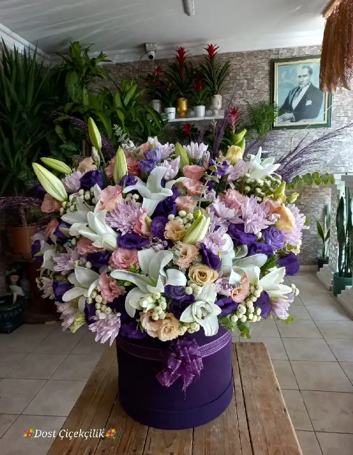 Kazablanka, Lisyantus Aranjman