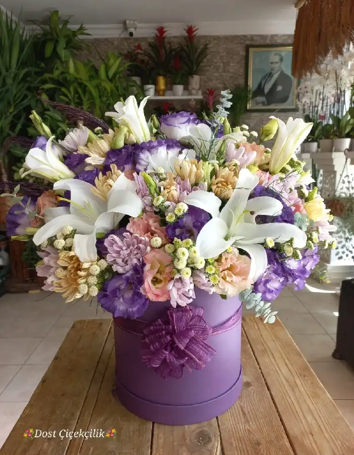 Kazablanka, Lisyantus Aranjman