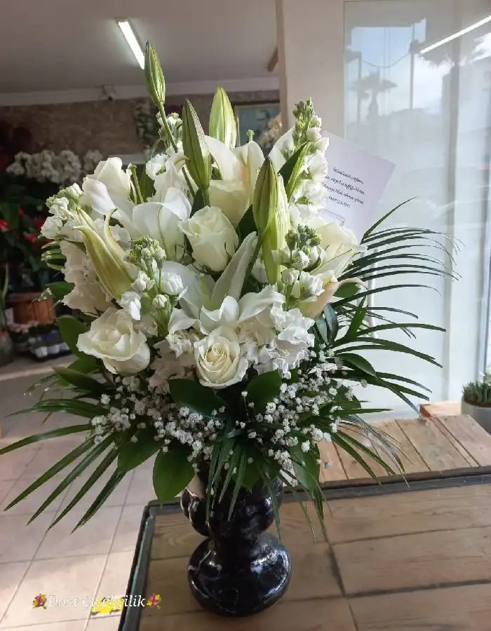 Kazablanka, Beyaz Gül, Şebboy Aranjman