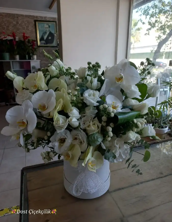 Beyaz Orkide Aranjmanı