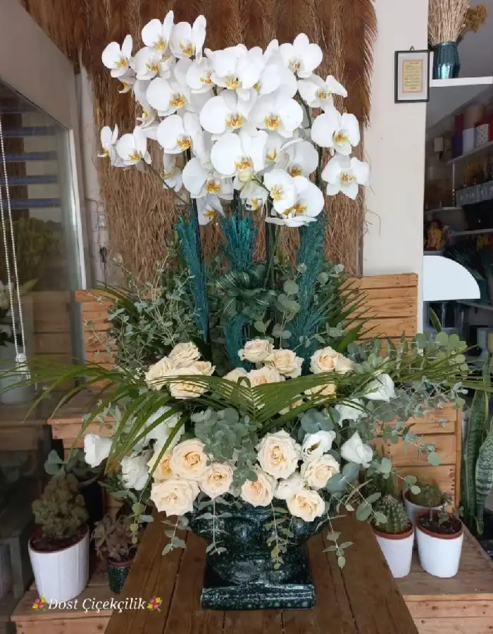 6 Dal Beyaz Orkide Tasarım