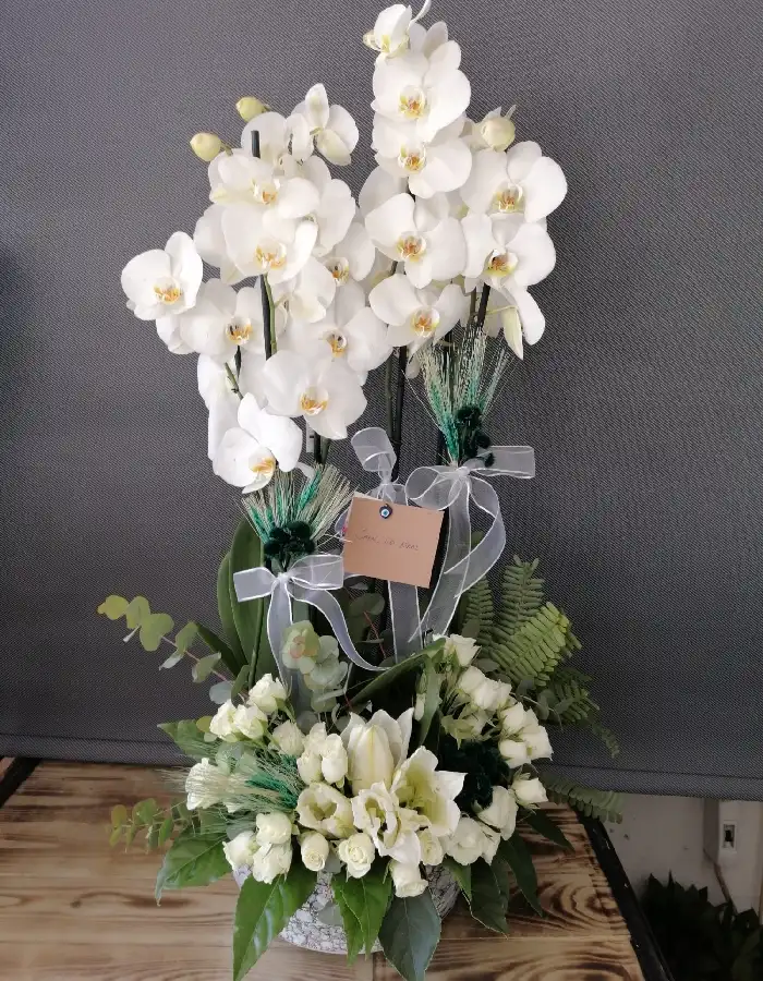 6 Dal Beyaz Orkide Tasarım